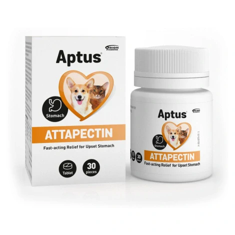 Aptus Attapectin 30 tbl