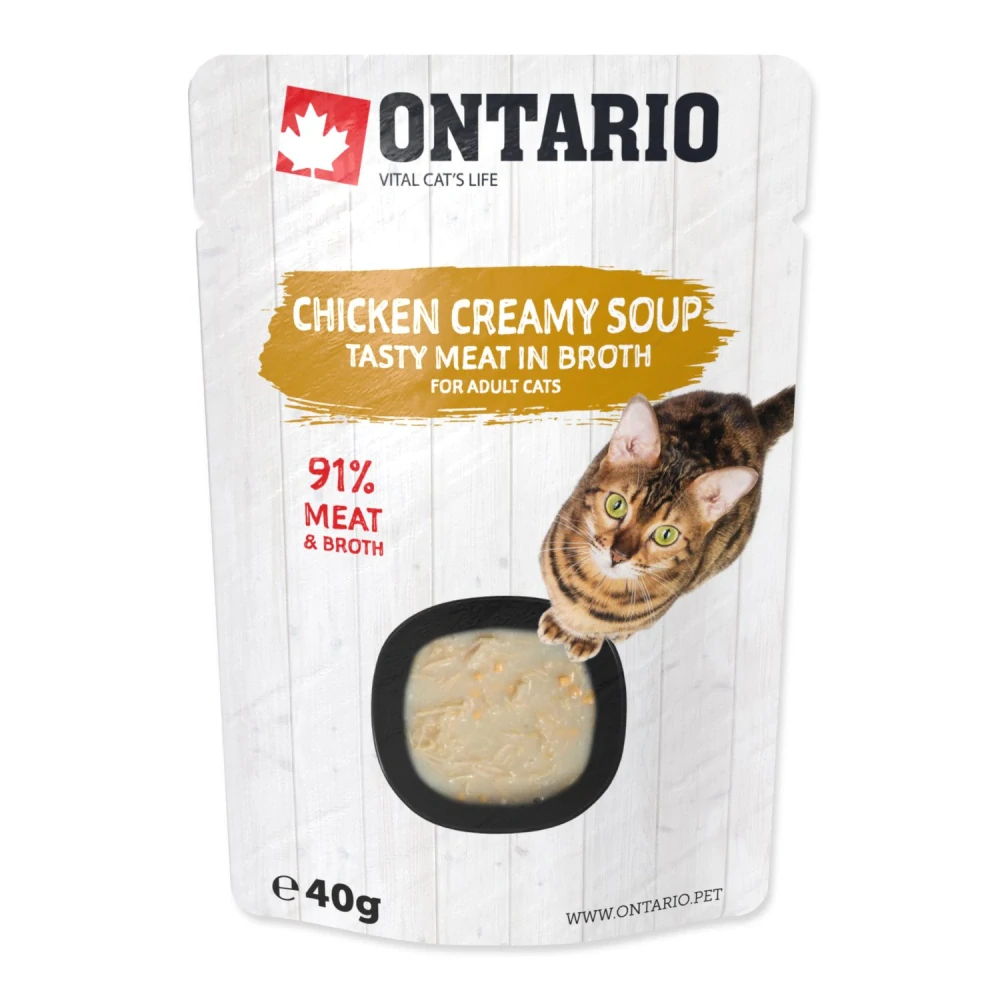 Polévka Ontario kuře se sýrem 40 g