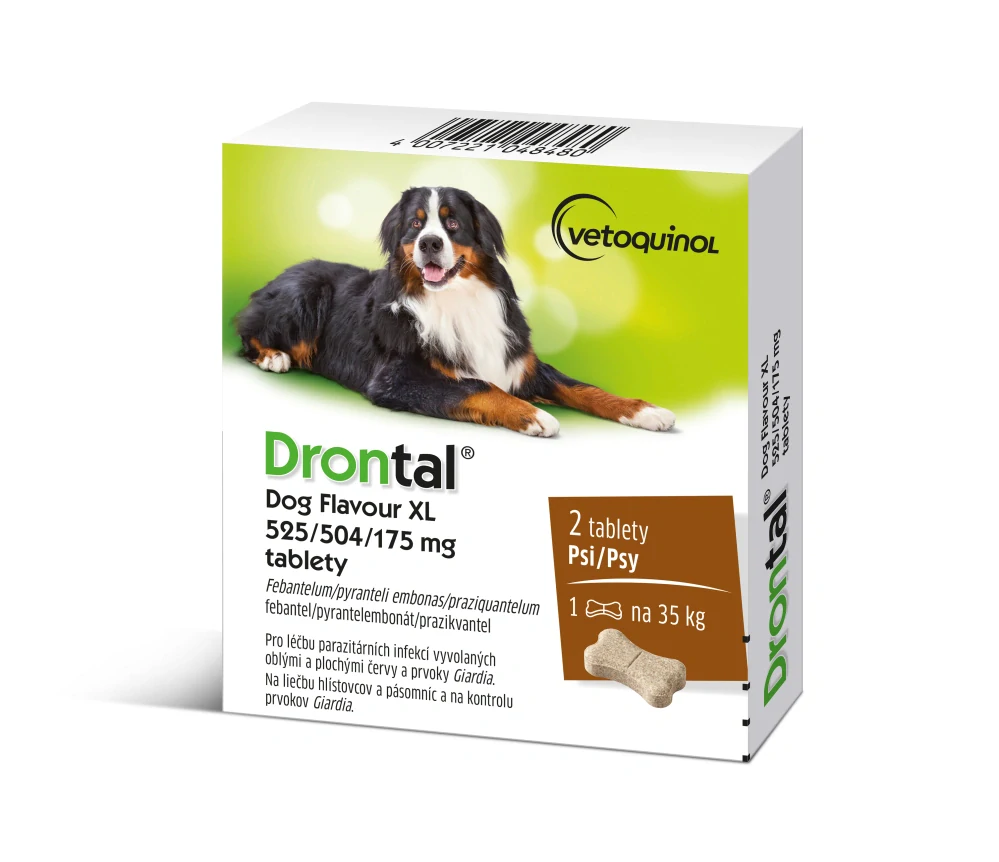 Drontal Dog Flavour XL 2 tablety
