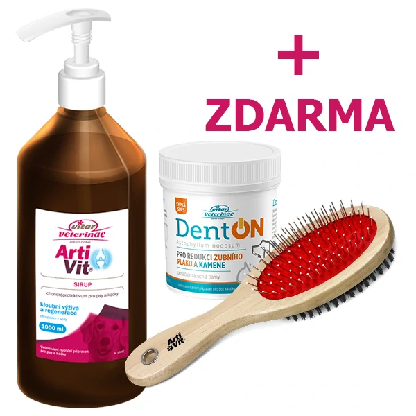 VITAR ArtiVit Sirup 1000ml + DentON 100g a kartáč ZDARMA