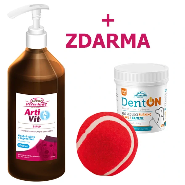 VITAR ArtiVit Sirup 1000ml + DentON 100g + aportovací míček ZDARMA