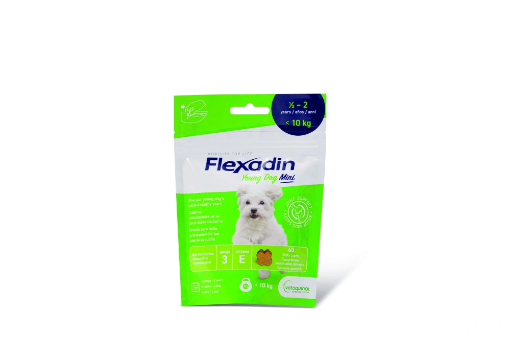 Flexadin Young Dog Mini žvýkací 60tbl