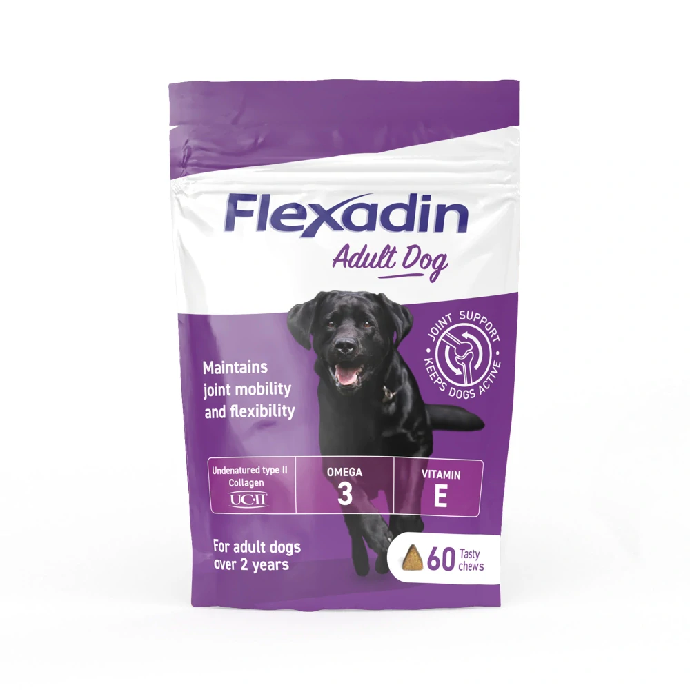 Flexadin Adult Dog žvýkací 60tbl