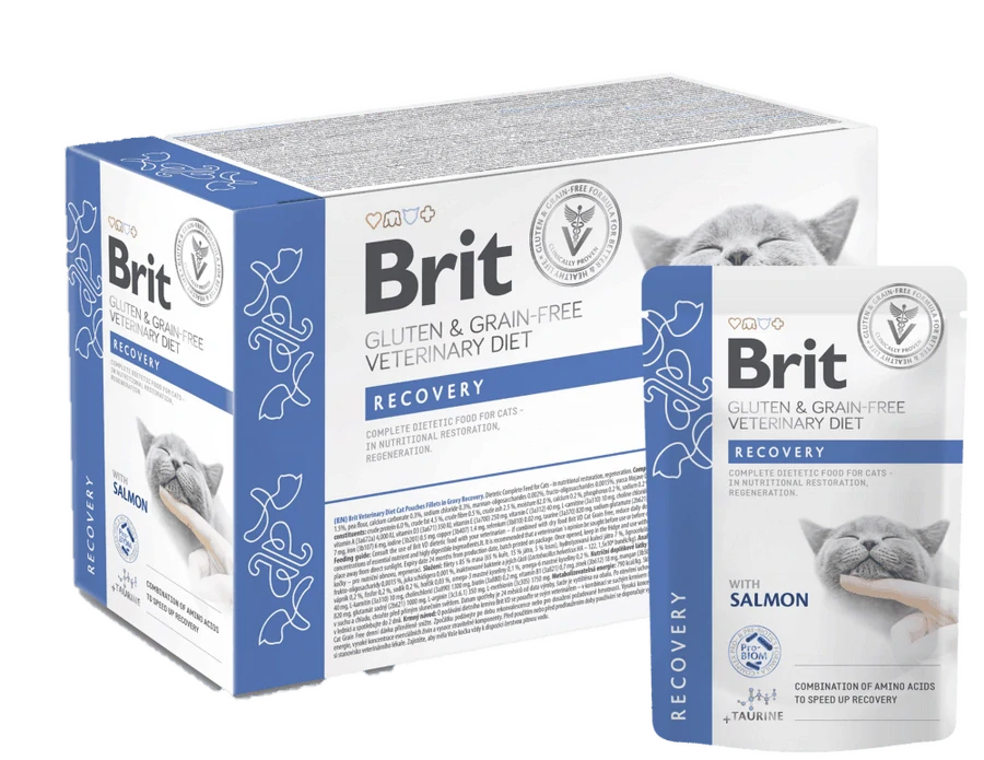 Brit VD Cat Pouch fillets in Gravy Recovery 12x85g