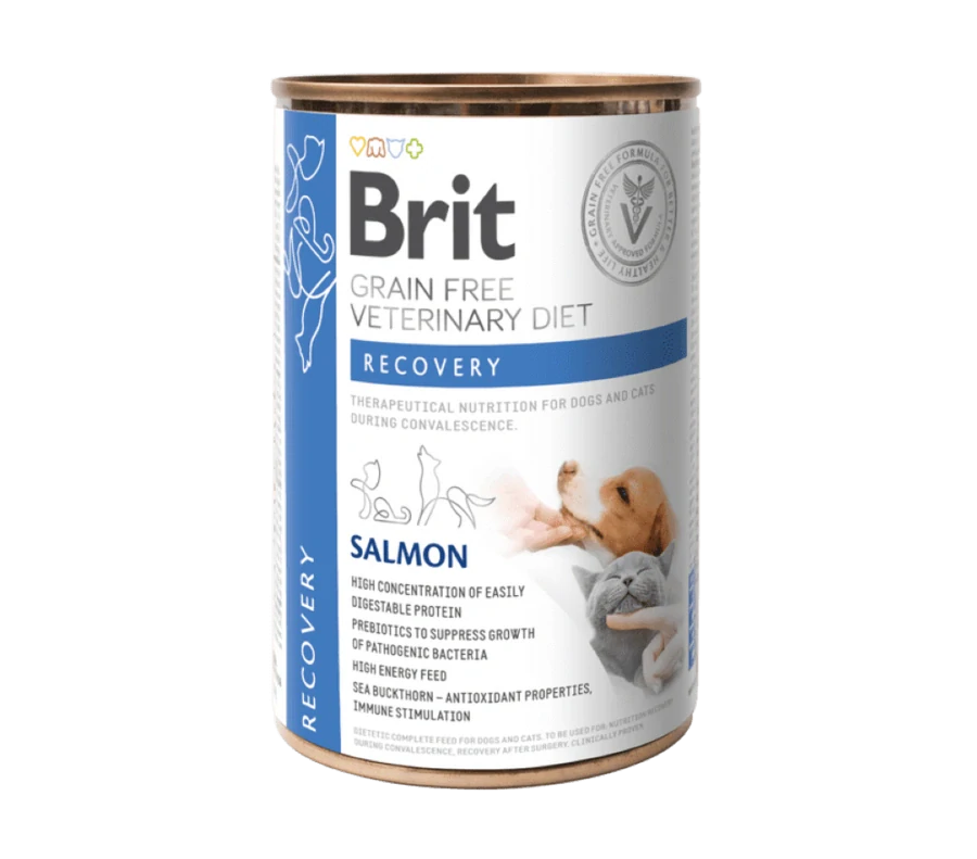Brit VD Dog+Cat GF konz Recovery 400g