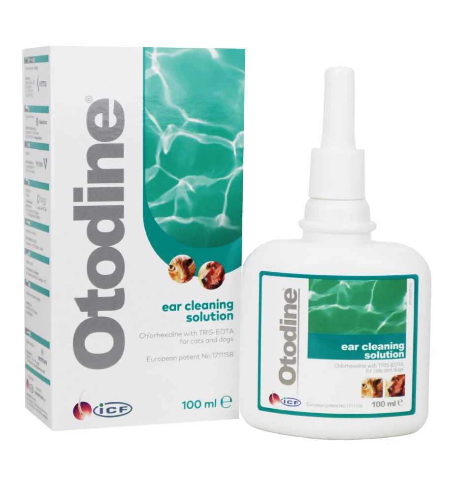 Otodine 100ml