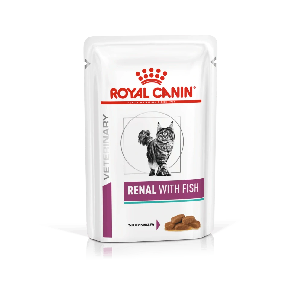 Renal Ryba Kapsičky 12 x 85 g