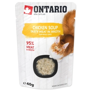 Polévka Ontario kuře 40 g