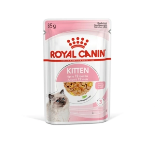 Cat Kitten Jelly 12 x 85 g