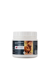 Roboran Chondro pro psy 200g