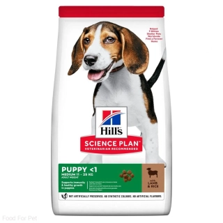 Hill's Can. SP Puppy Medium Lamb&Rice 14kg