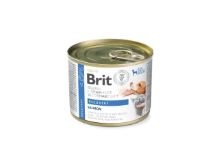 Brit VD Dog+Cat GF konz Recovery 200g