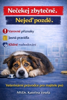📘 Nečekej zbytečně. Nejeď pozdě.