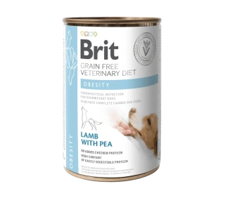 Brit VD Dog GF konz Obesity 400g