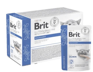 Brit VD Cat Pouch fillets in Gravy Recovery 12x85g