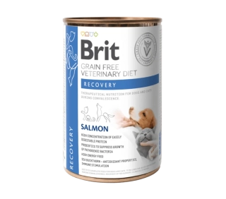 Brit VD Dog+Cat GF konz Recovery 400g