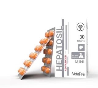 Hepatosil Advanced MINI 30 tbl
