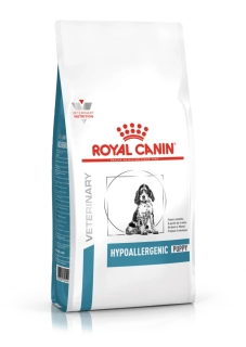 Hypoallergenic Puppy 3,5 kg