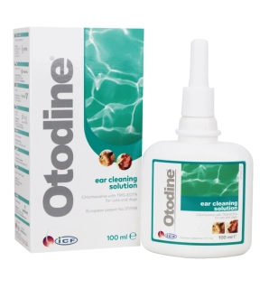 Otodine 100ml